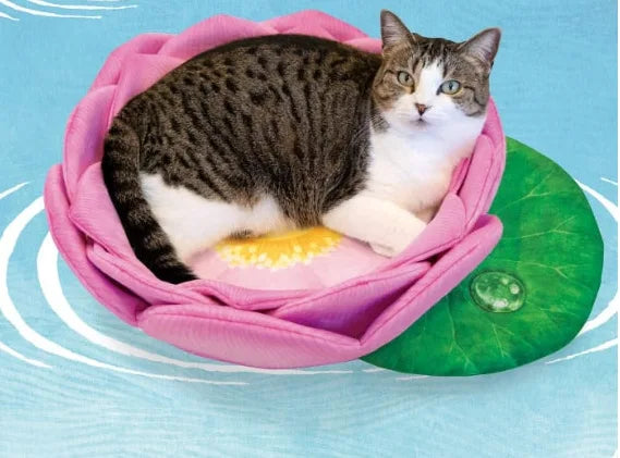 Cat Accessories Soft Sofa Cozy Round  Plush Multi Made Washable Chew Proof Eco Friendly Luxury Pet Cat Dog Beds and Furniture