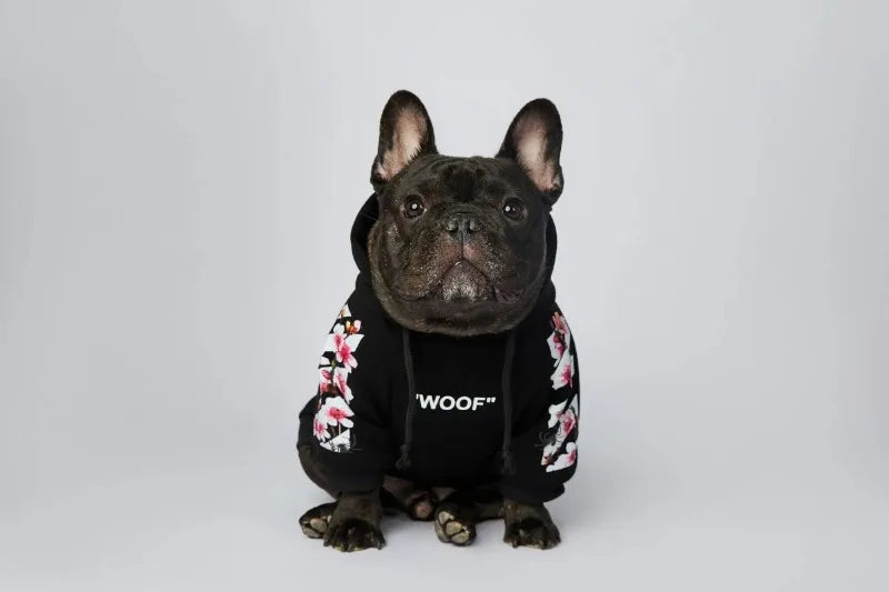 NONOR Dog Clothes WOOF Fashion Sakura Dog Jacket Pet Dog Hoodies Winter French Bulldog Pugs Sports Dog Jacket M-4XL