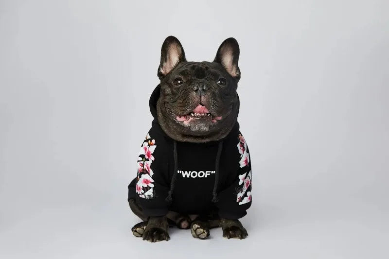 NONOR Dog Clothes WOOF Fashion Sakura Dog Jacket Pet Dog Hoodies Winter French Bulldog Pugs Sports Dog Jacket M-4XL