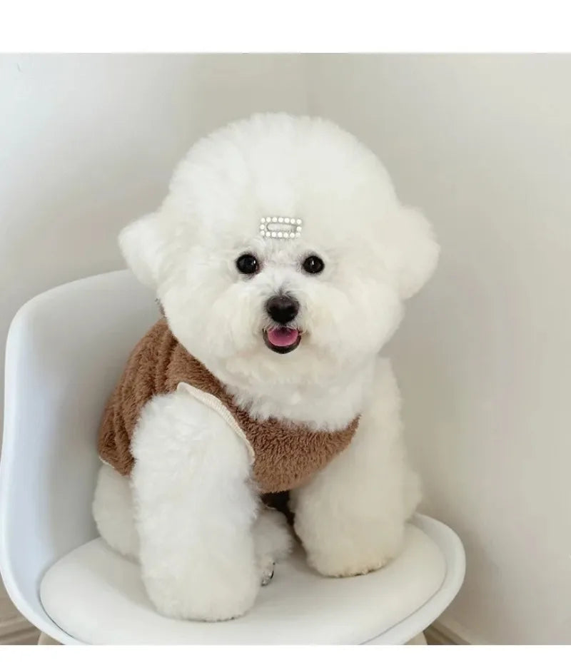 Winter Warm Plush Dog Clothing Coat Bear Sweater Pets Cute Dog Clothes Teddy Schnauzer Clothes Puppy Jacket Designer Dog Clothes