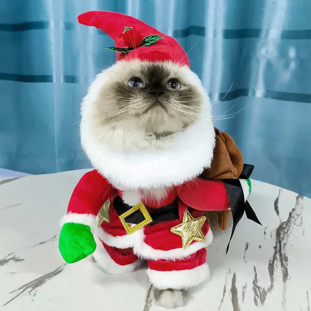 Cat Christmas Costume With Hat, Pet Santa Star Belt Costume Clothes, Cat Funny Winter Warm Outfit, Elastic Collar Pet Coat