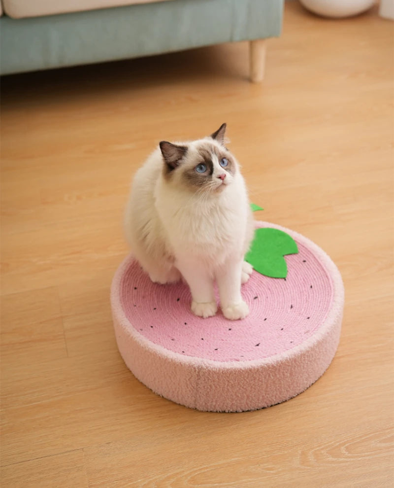 Cat Scratcher 2 In 1 Cat Anti Scratch Bed Cute Shape Cat Scratching Bed Round Cat Scratch Protection Paw Toy Gatos Accesorios