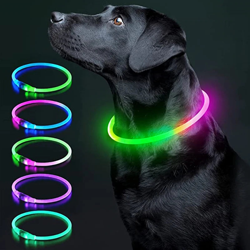 Luminous Dog Collar Light Charge Cat Necklace, Led Fashion Flashing DIY Glowing Safety Collar for Dogs Nighttime Pet Accessorie