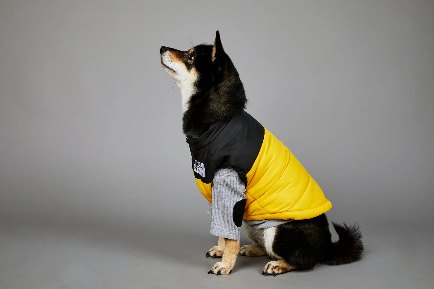 Dog Face Punch Large Dogs Winter Warm Raincoat Anti Pet Cotton Clothing Windproof Rainproof Dog Coat