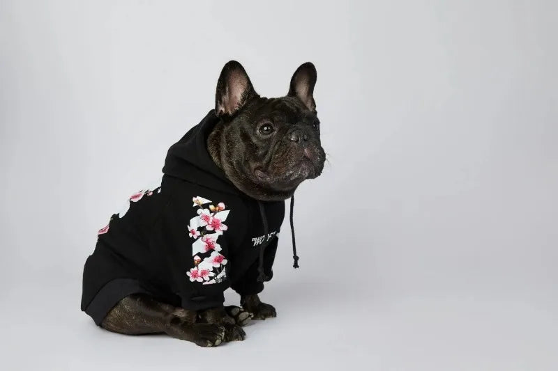 NONOR Dog Clothes WOOF Fashion Sakura Dog Jacket Pet Dog Hoodies Winter French Bulldog Pugs Sports Dog Jacket M-4XL