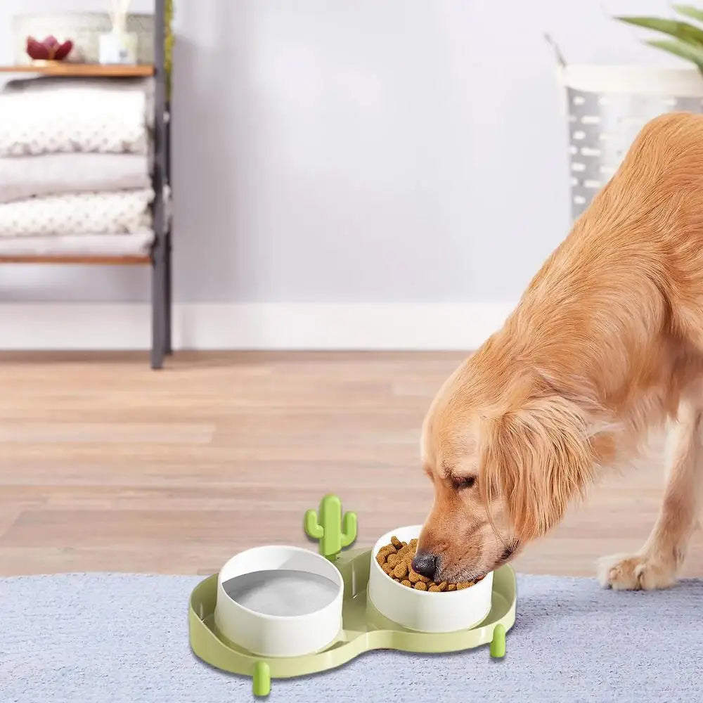 Dog Food Bowls Tilted Dog Cat Water And Food Bowls Pet Bowls For Small Medium Large Dogs Cats Pet Food Water Feeder Puppy