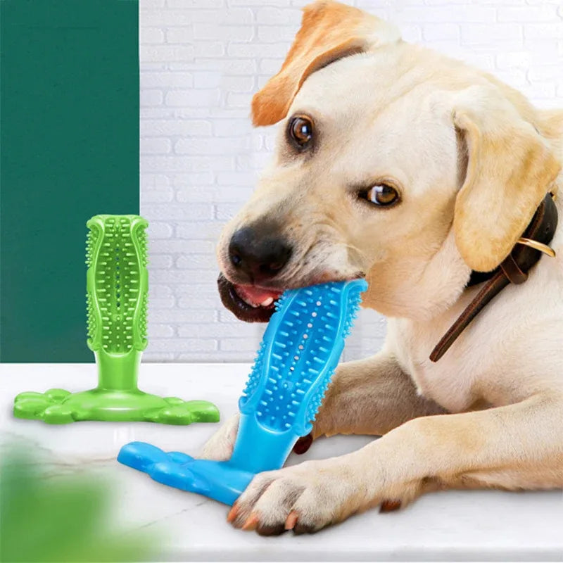 Cuttie Dog Toys for Large Dogs Toothbrush Squeak Toys for Small Dogs Puppy Squeaky Chew Toy Teeth Cleaning Supply Pet Products